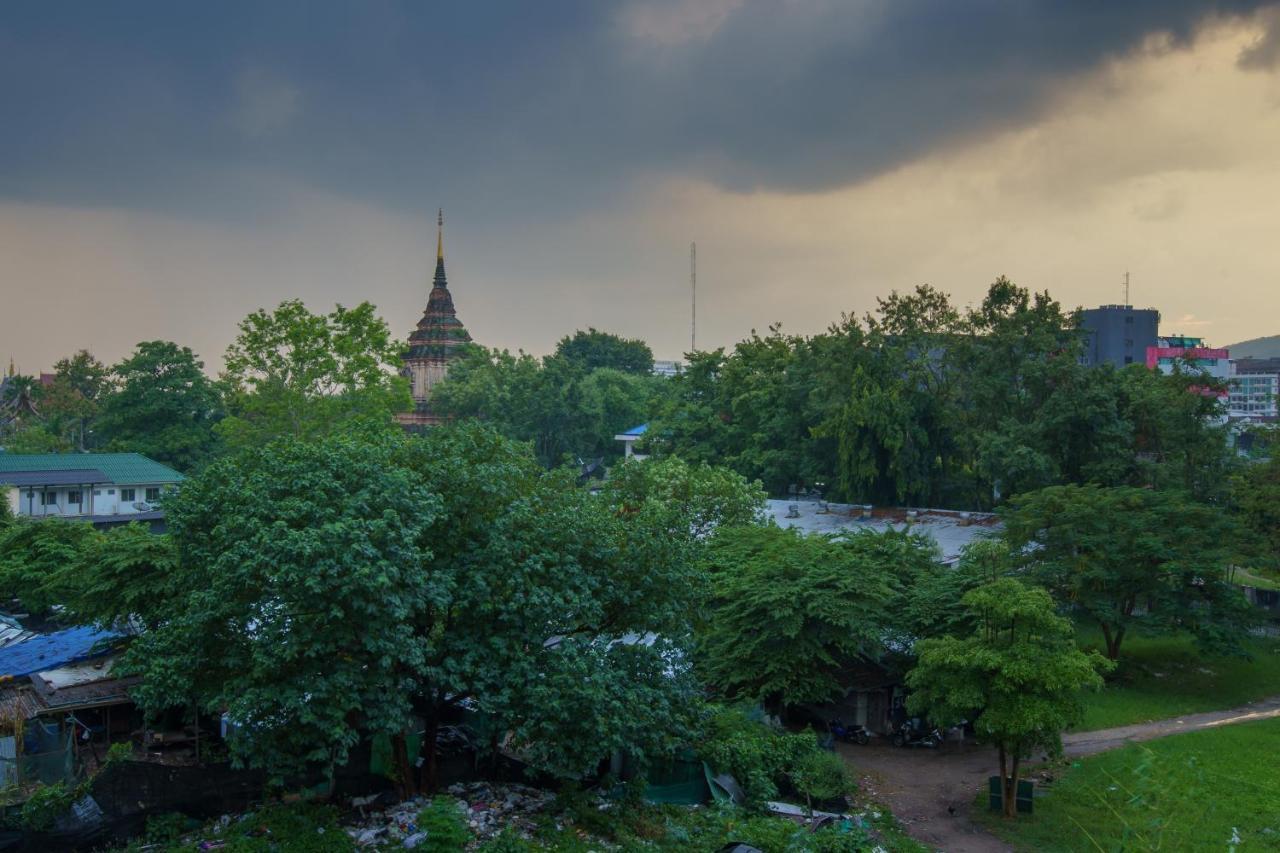 Jiang Mai 81, Chiang Mai